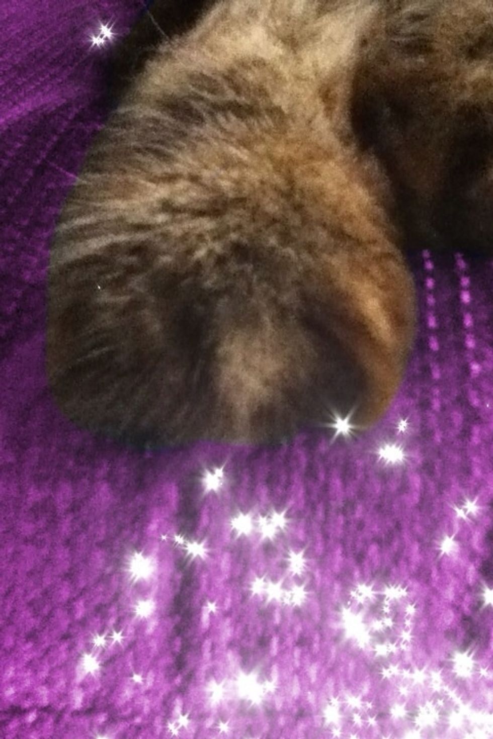 An example of what Color Effects can do. I colored my couch pink XD the glitter was done with Pixlr Express PLUS.