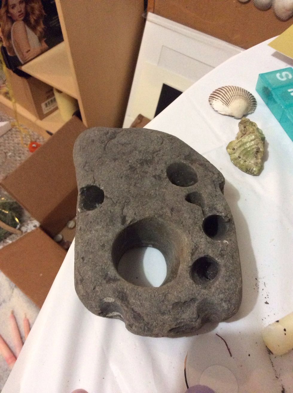 An ideal rock with lots of holes. Make sure your rock is dry and free of debris. Use a firm paintbrush to loosen sand deposits and shells. Make sure nothing is living on the rock you choose!!