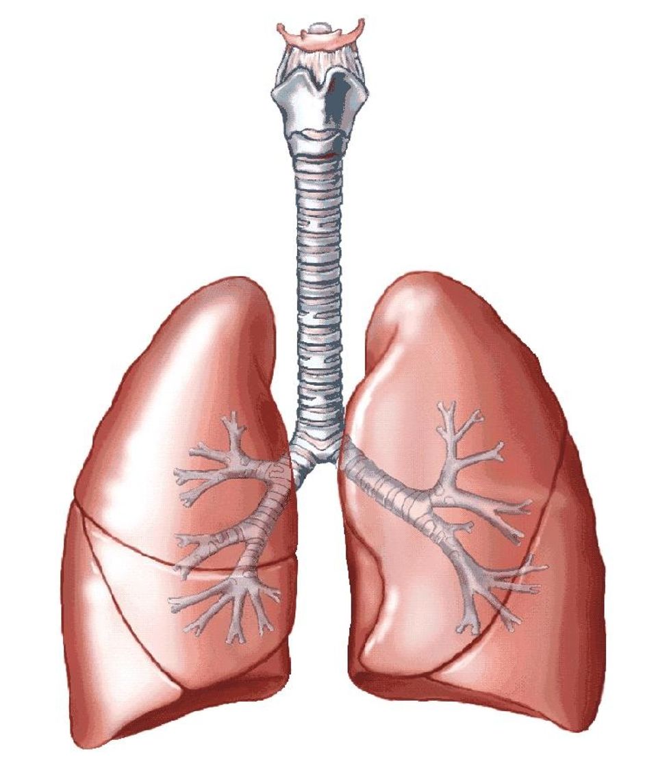An increase in Respiratory rate and tidal volume results in an increase in Ventilation. The body requires more oxygen during exercise.