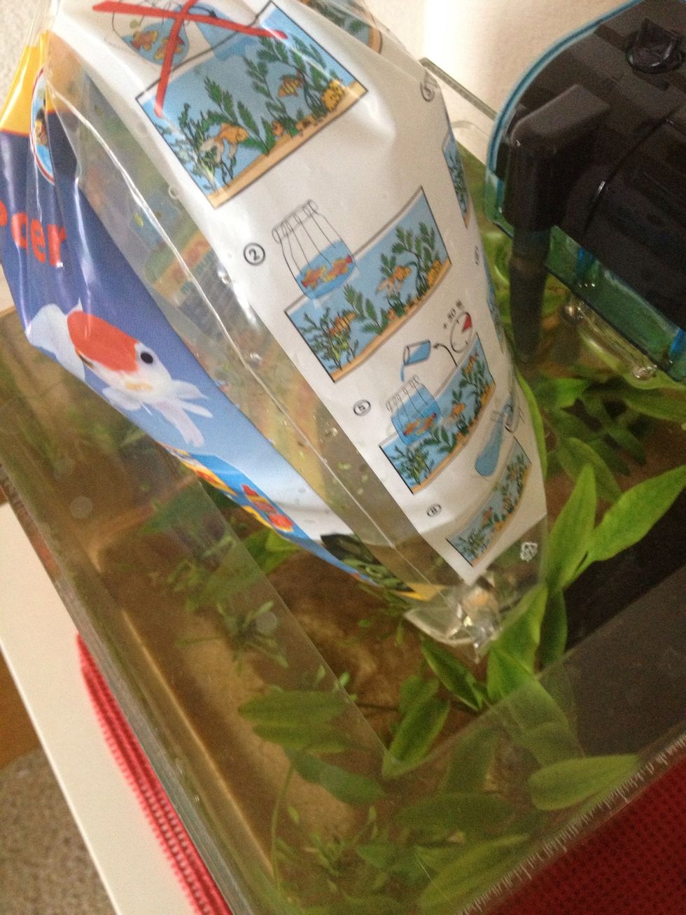 An upwards view if that. Notice I have not opened the bag yet.