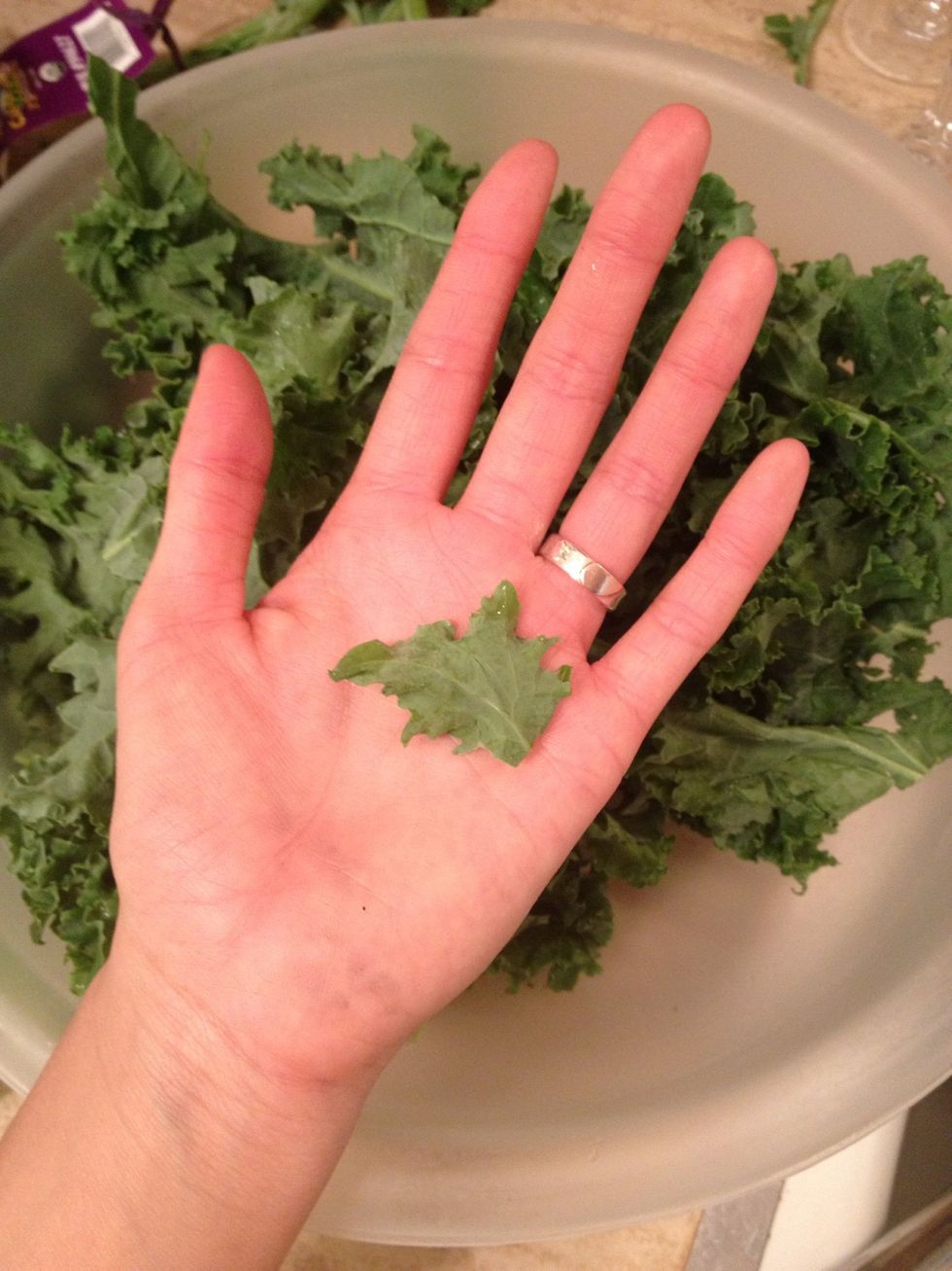 And a small piece. These are going to dry the fastest but unfortunately they also crumble quickly.