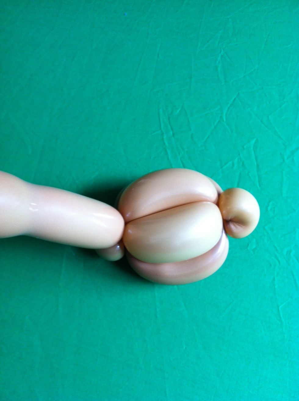 And another angle....   After making sure that balloon is secure, cut off extra piece from just above the ear.  Do not discard- you will need for next step