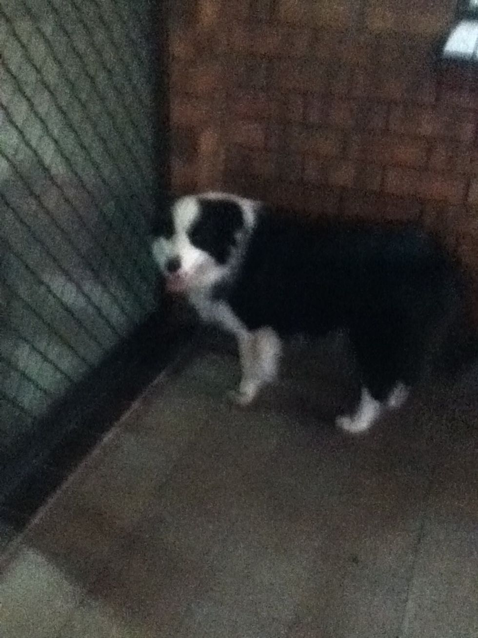 And buddy