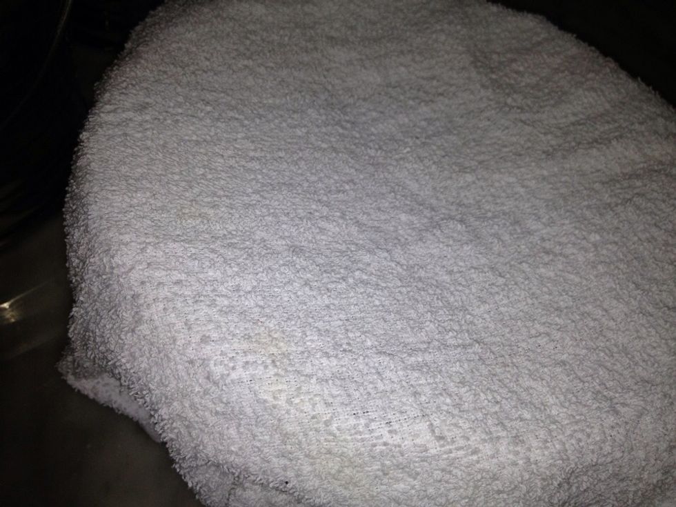 And cover it with a towel, allow to rise for about 45 minutes or until doubled in size.