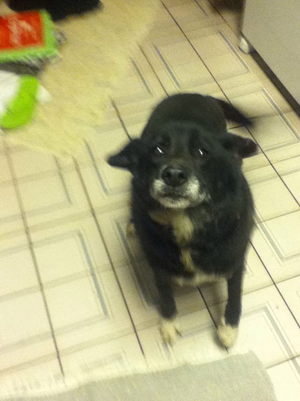 And don't forget your clean up crew!!