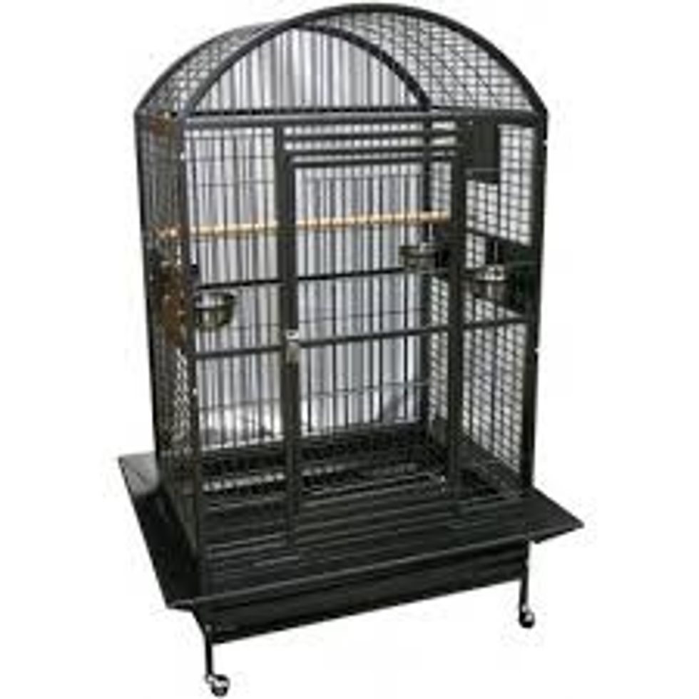 And finely you can grab a cage.