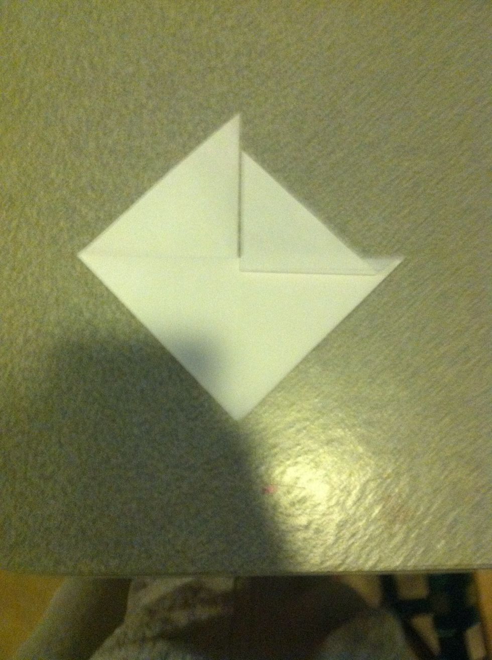 And fold it up again so the corner reaches just below of the one next to it.