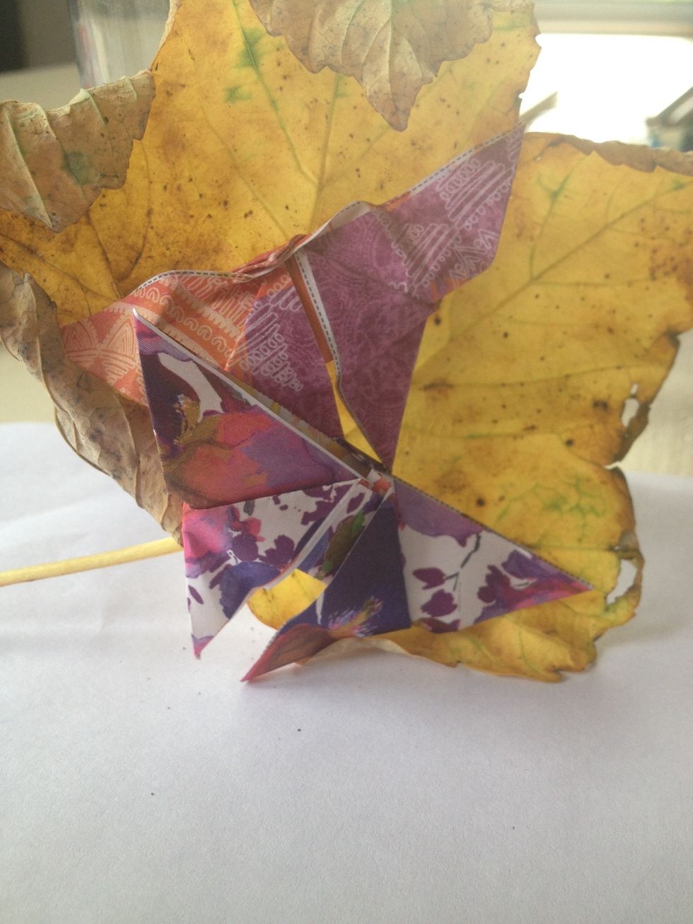 And here's your very own oragami butterfly!!