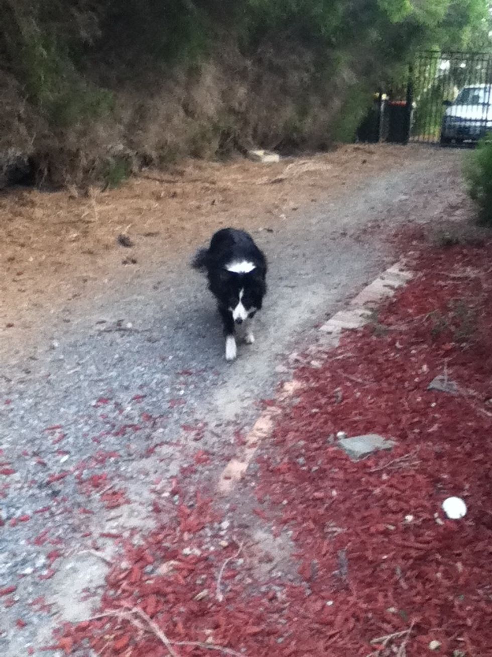 And holly my bros car in the background lol