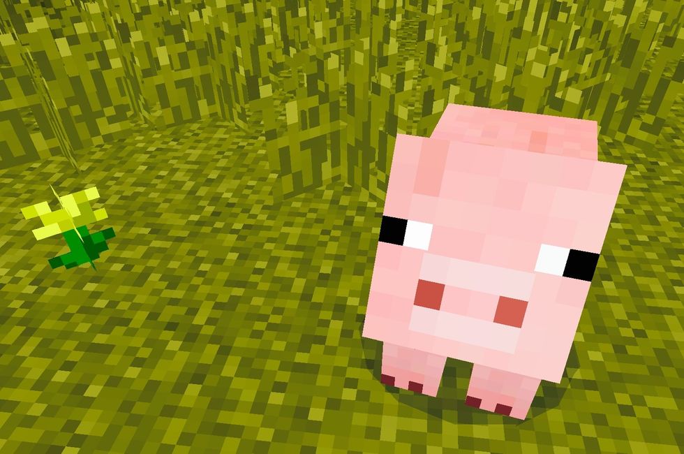 And last but not least is a pig, you need....