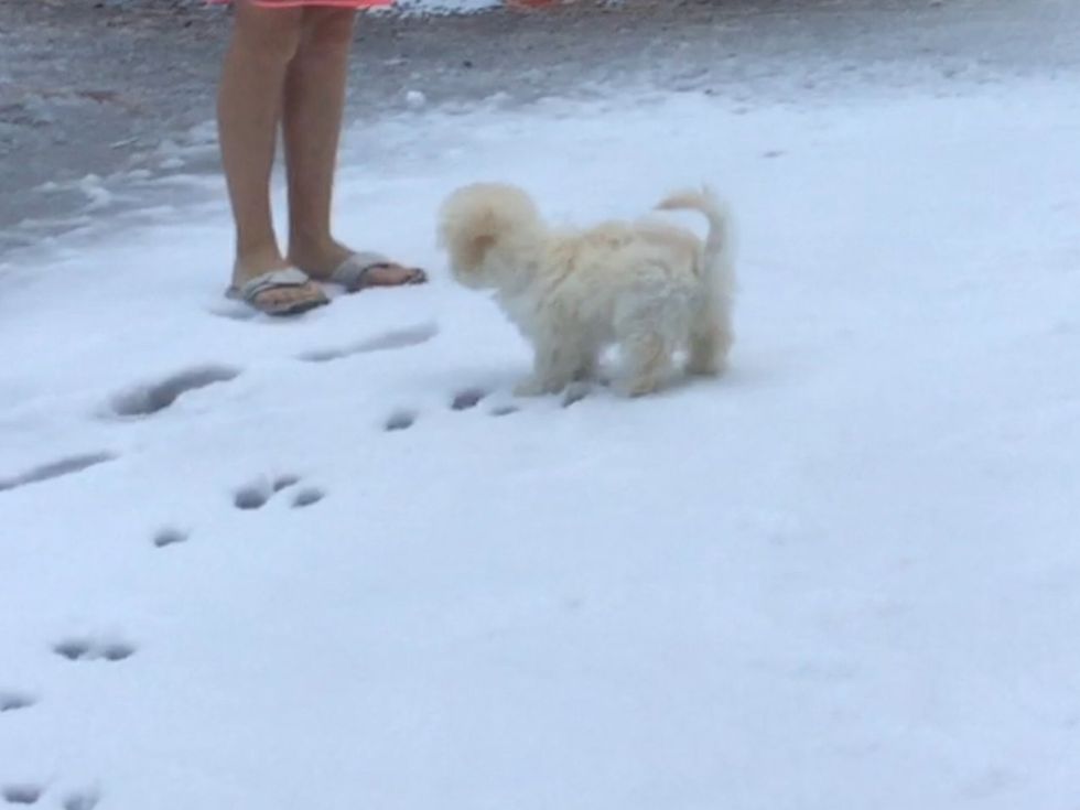 And lastly, this was her first time in snow, she tries to eat it but it's so cold she will shake her head. \ud83d\ude04