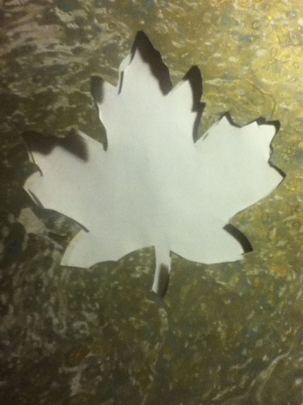 And lay it in the cut out shape