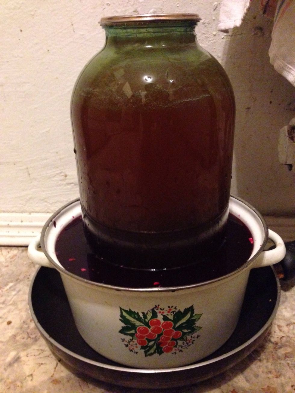 And leave all like this for 3 days (room temperature). Note that it probably will have more juice in 3 days, so preferable put a larger plate under your bowl.