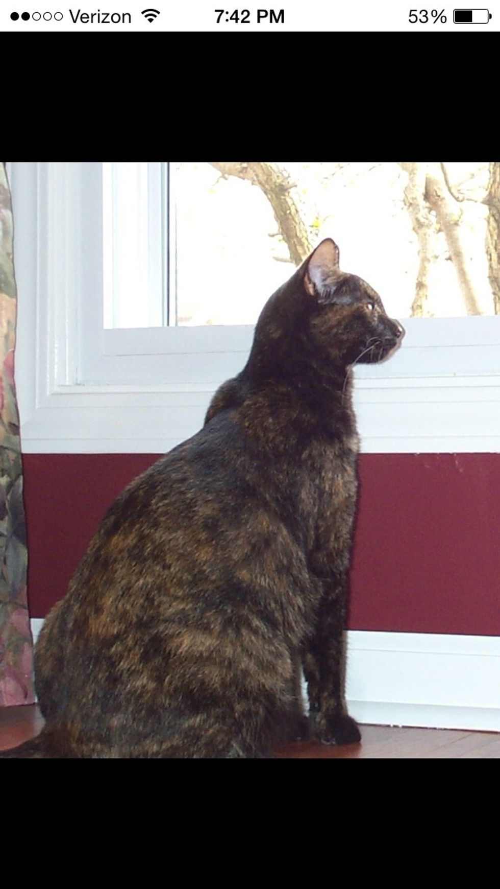 And most importantly help you look for your dreams. "If you believe the doubts in your mind you won't achieve the dreams in your heart" -Marinela Reka