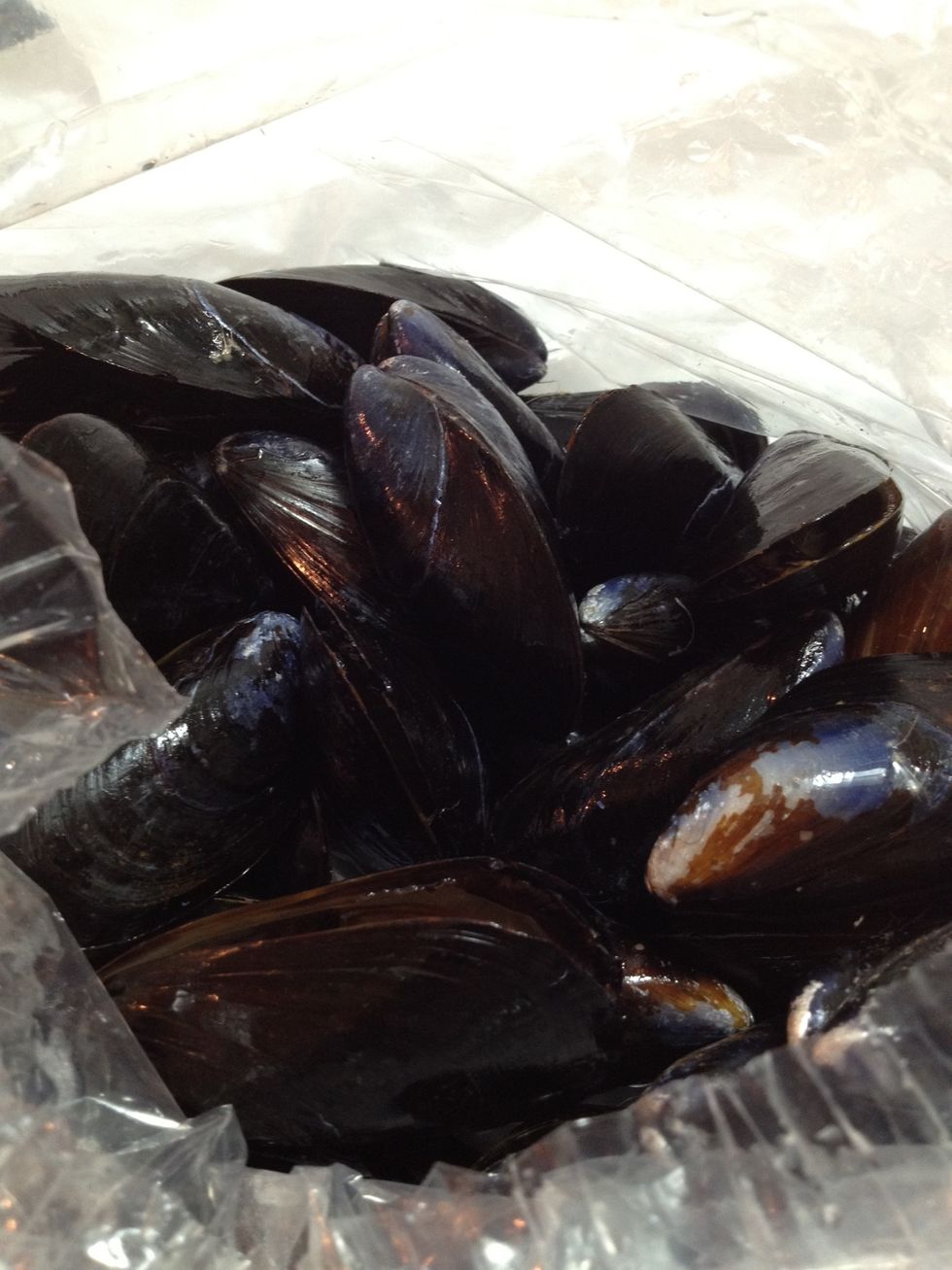 ...and of course, the most important part, the mussels. Fresh from our local market. We bought about 2 big scoops worth. They cost less than $6.00! (approx 40 mussels)