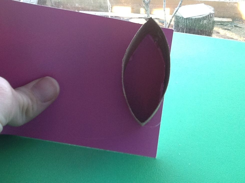 And Place it on the pant chip