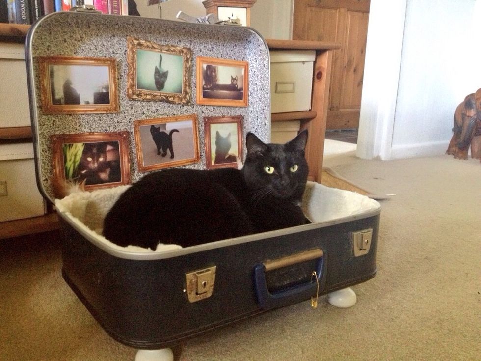 And Pru spends all her time in it now winter is coming along. One very happy kitty.