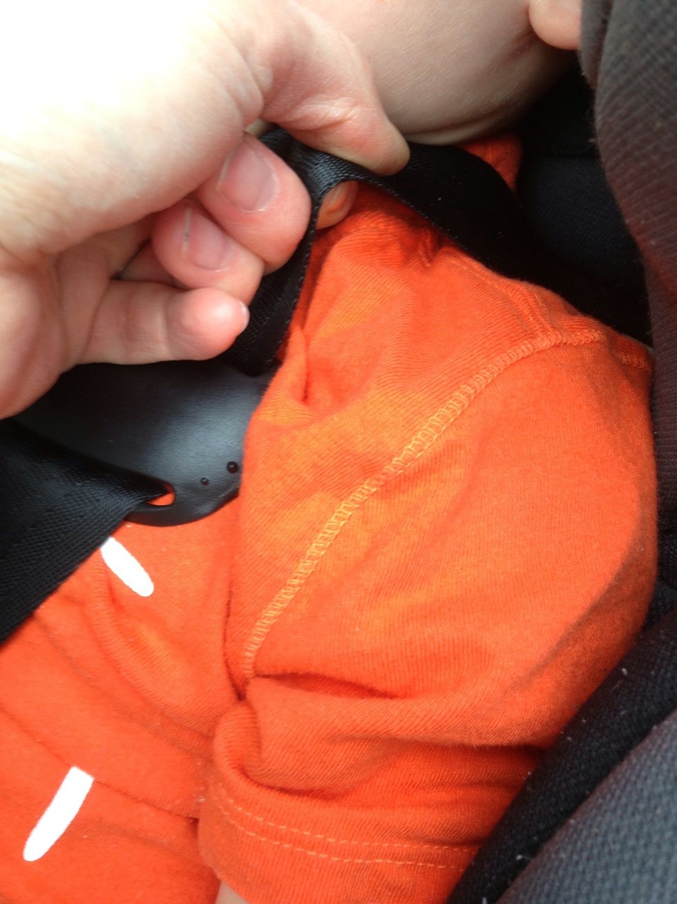 And pull it up again, removing lap slack. As you can see, there is still slack there! Not tight enough yet!