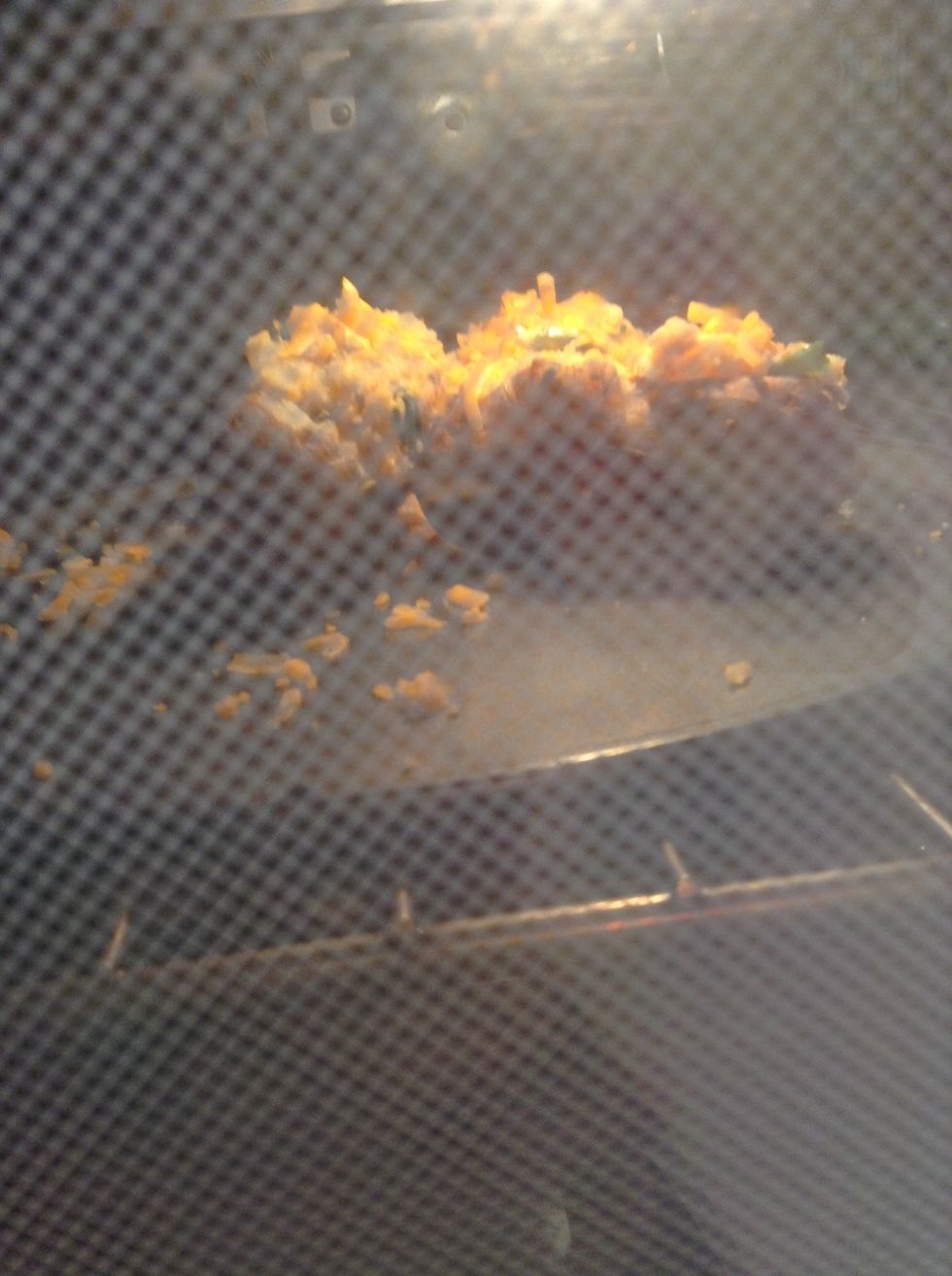 And put in the oven for 10-15 minutes