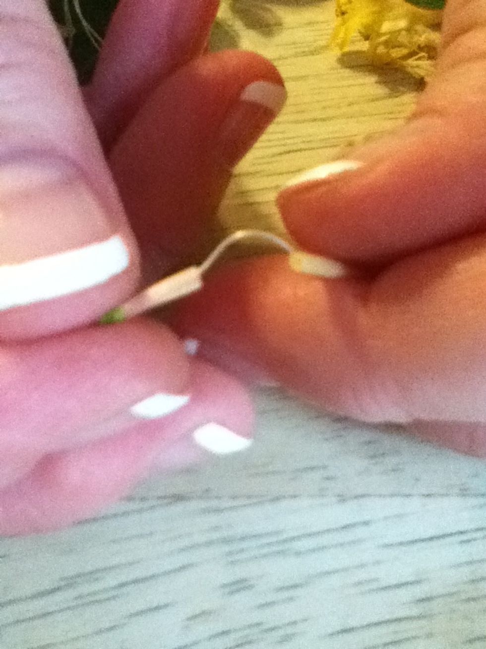 And should have a little strand of the flower.