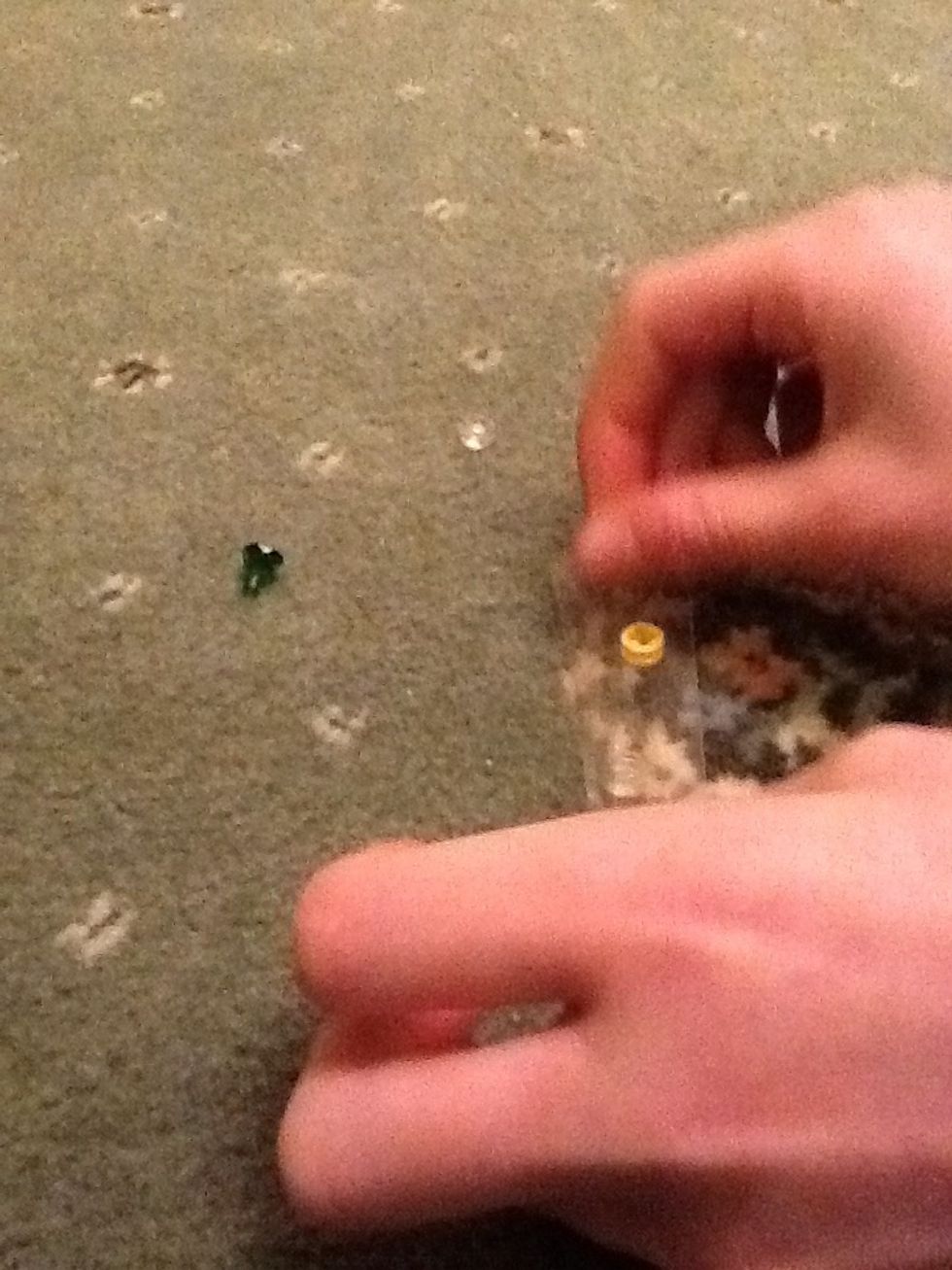 And stick whatever you are collecting to the Sellotape