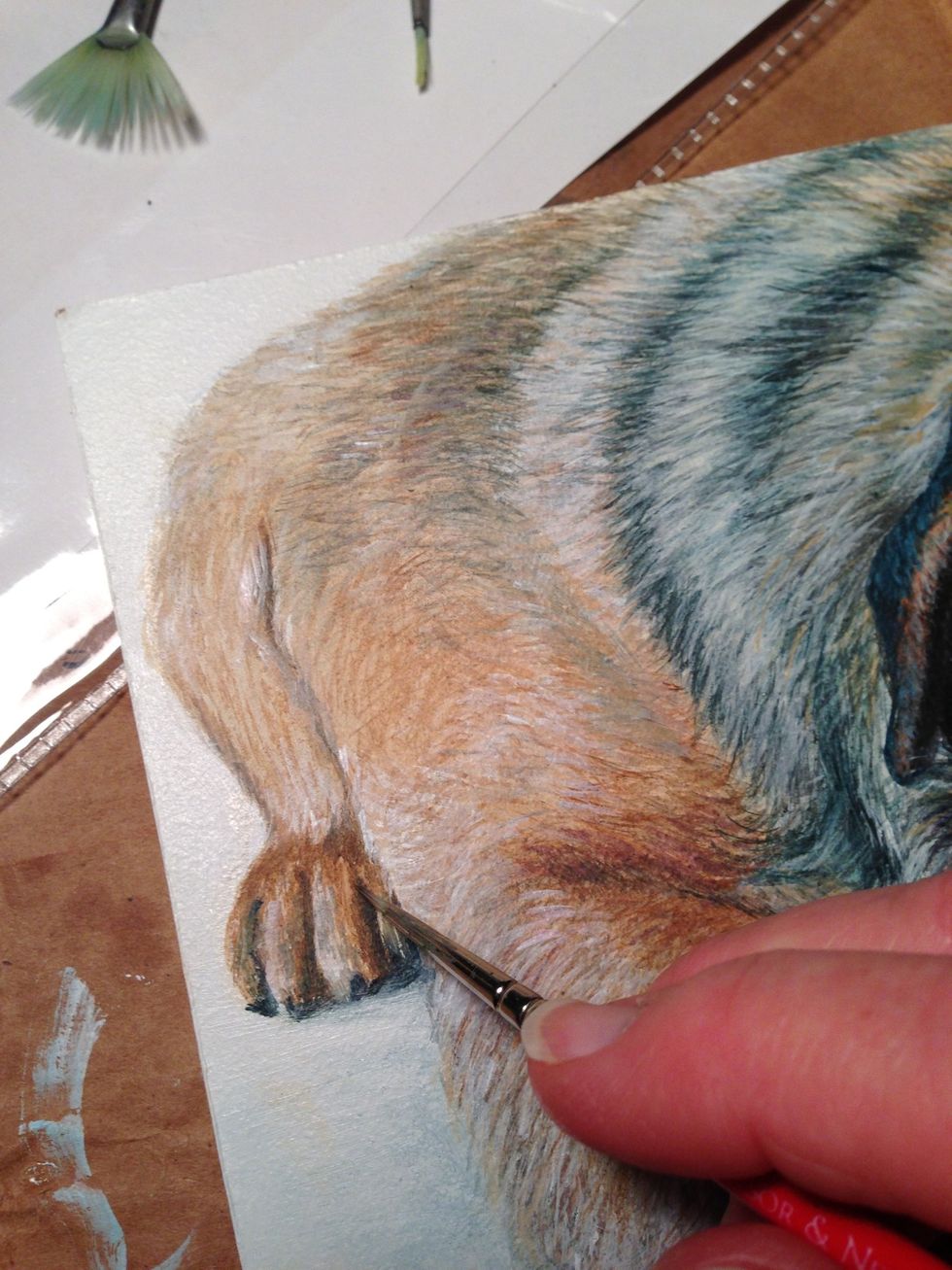 And the back paw...  The finished painting will have painted edges and be given along with a decorative easel to sit on a shelf rather than be framed.