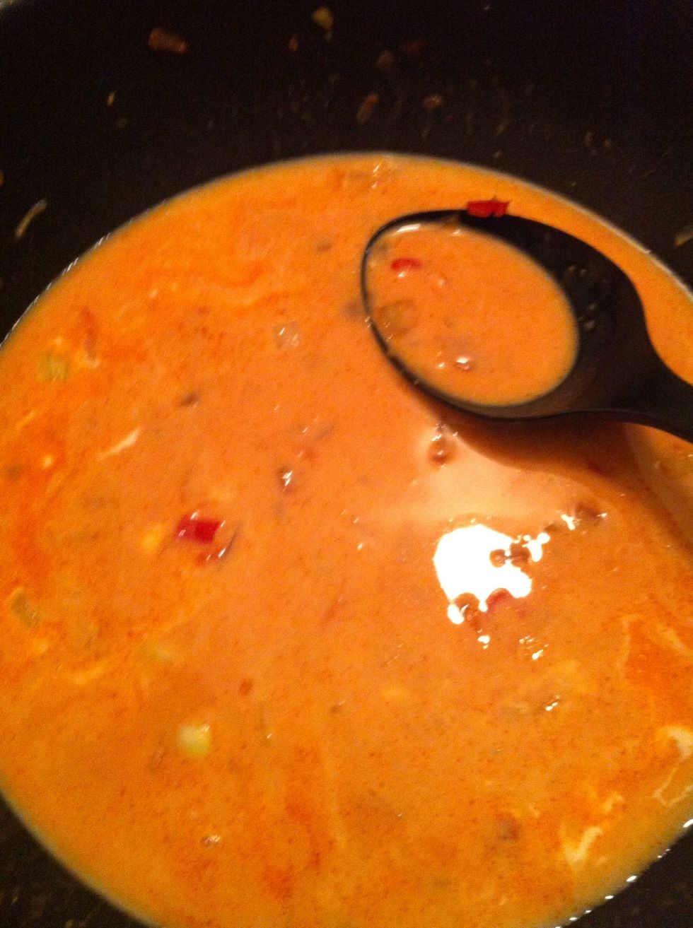 And the coconut milk. Blend well, taste and add some seasoning if you want