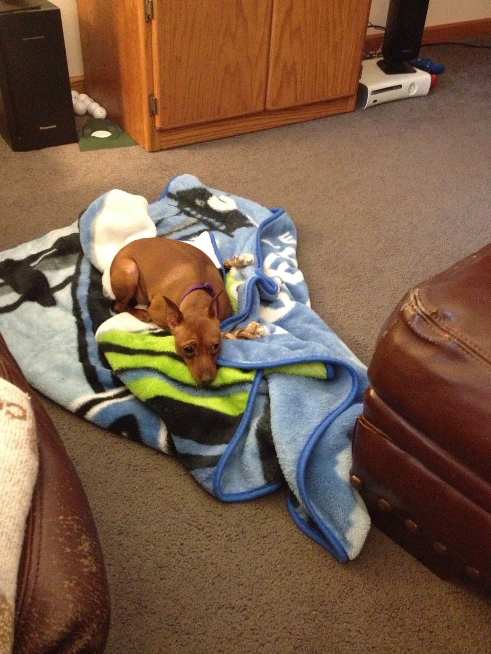 And the other pup looking to take a nap too \ud83d\ude34