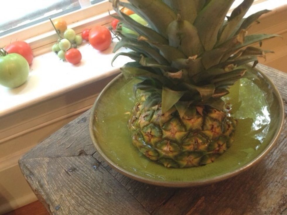 And the pineapple top that we saved from earlier? Place the top in a shallow bowl of water so that the flesh is halfway submerged. Sit the bowl in a sunny window for 2 days.