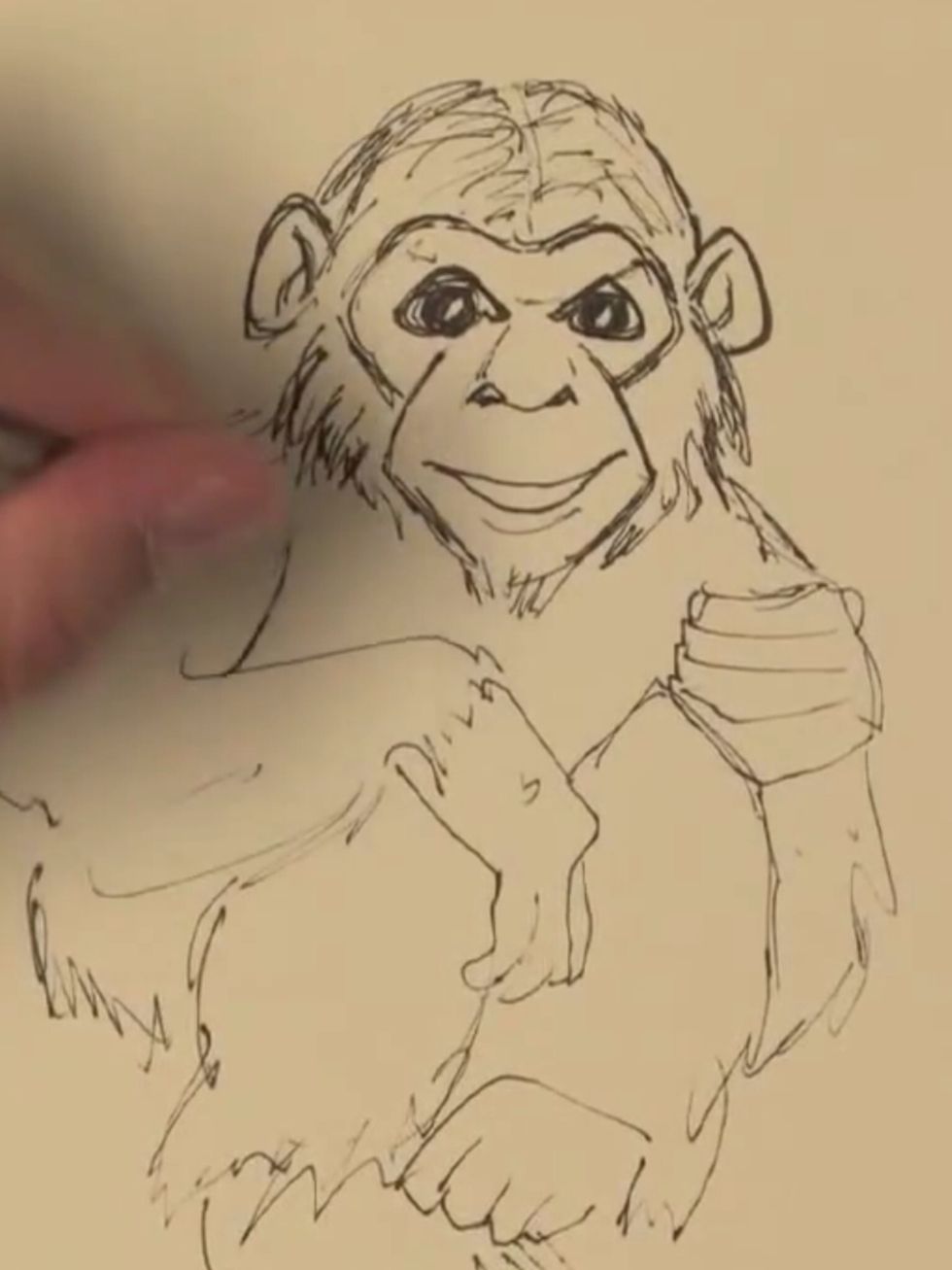 And the shoulders...