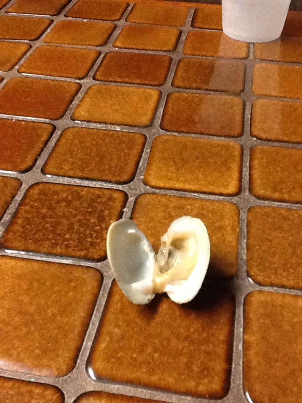And there's one that popped open!