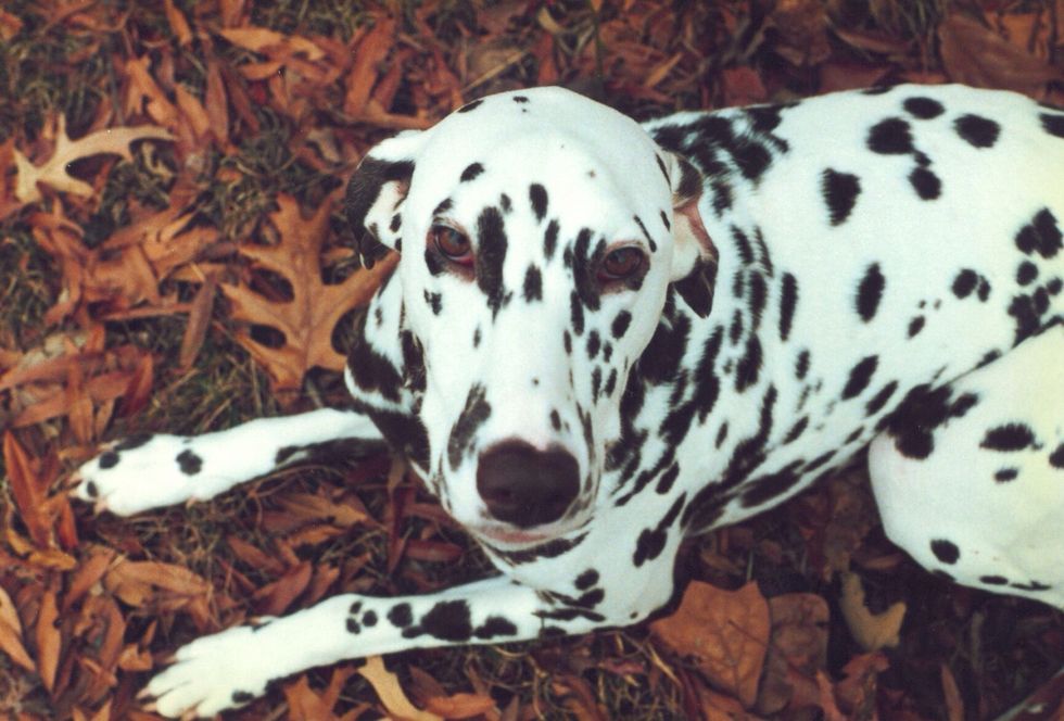 ... and there she was! Waiting for me. My awareness became a circle of responsibility of more than just myself.