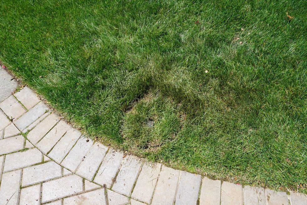 And there you have it. Perhaps it is worth having lawn guys do it for you? You won't know until you try! Congrats on tackling this project. Hope this helps!