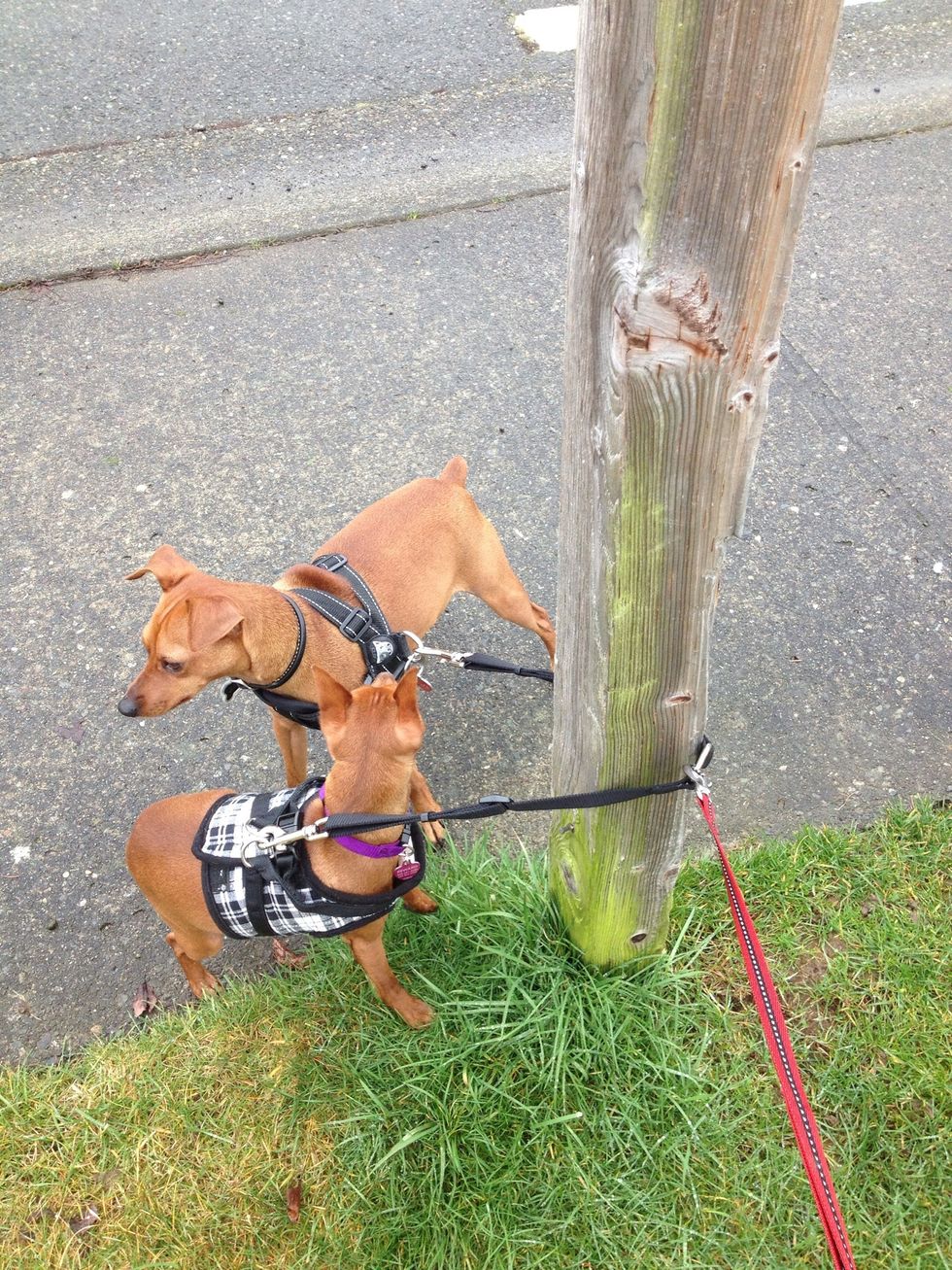 And they can't get out of this one really easily...