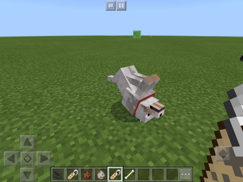 How To Do Name Tricks In Minecraft How To Do Name Tricks In Minecraft