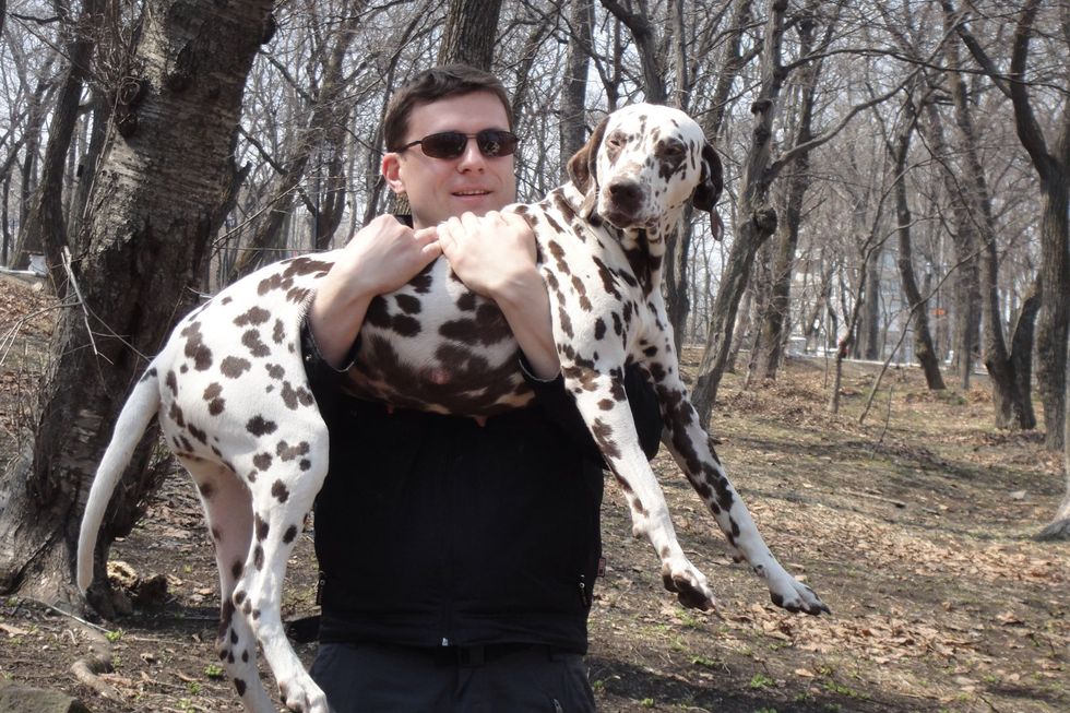 And wake up a movie star dog! And your fans will carry you to the stage where you will get your first Doscar!