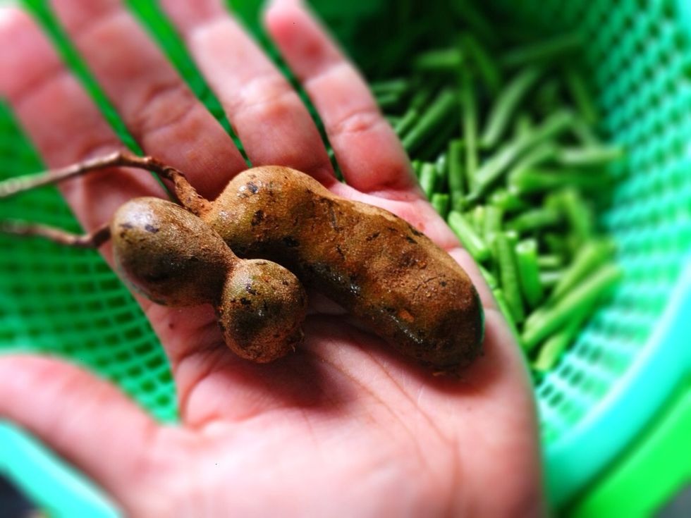 And what tamarind soup without tamarind :) these are young tamarinds. we usually use 2-4 tamarinds, or combination between 2 tamarinds and 2 'kandi' tamarinds