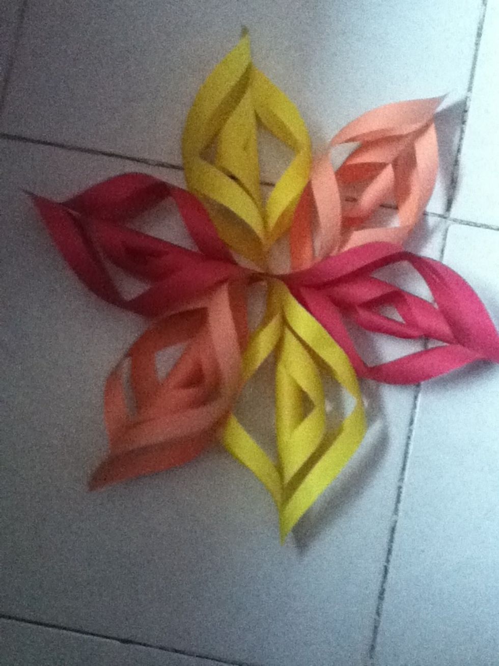 And you have a cute noche buena