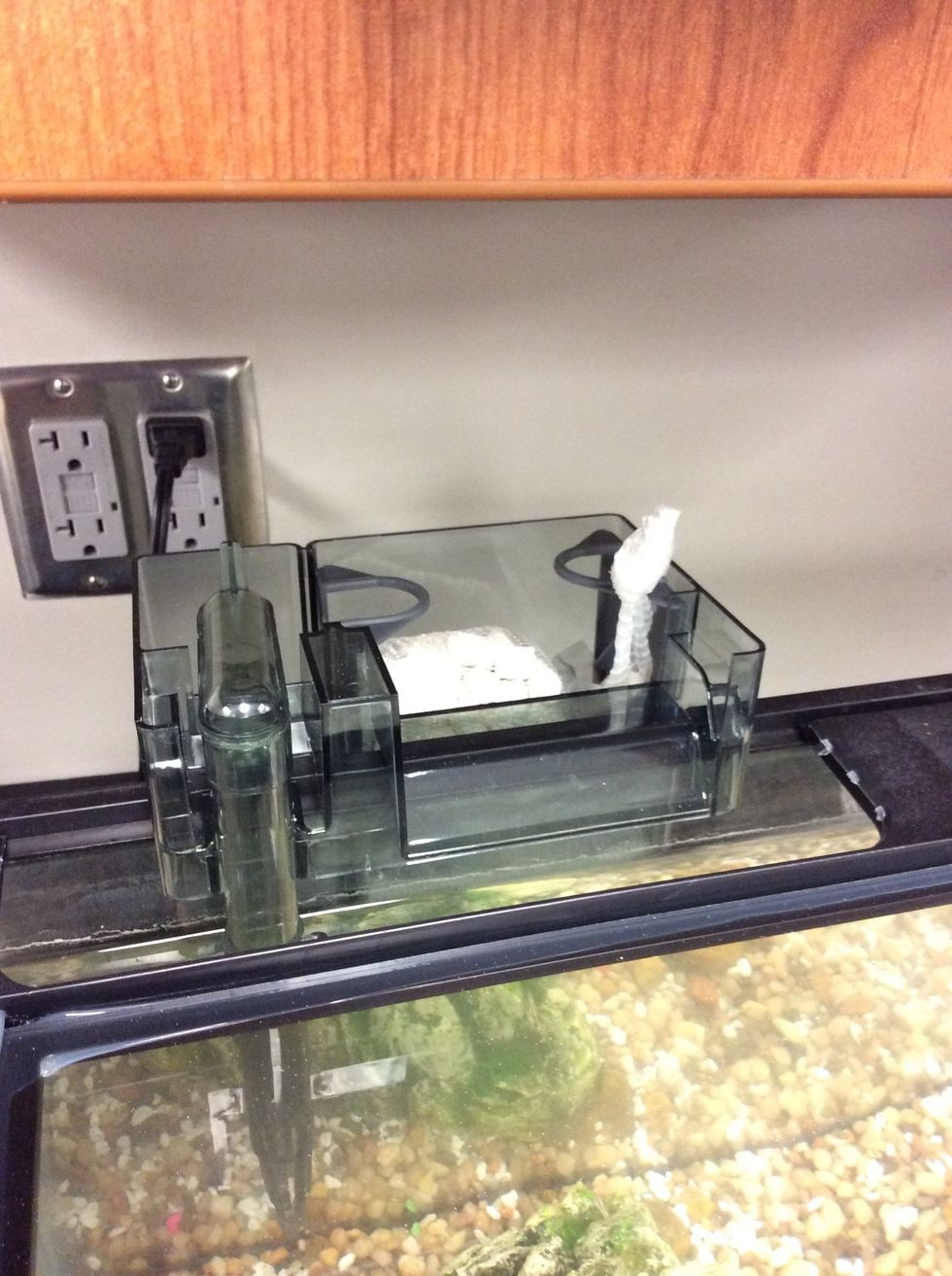 And you place it on top of the tank