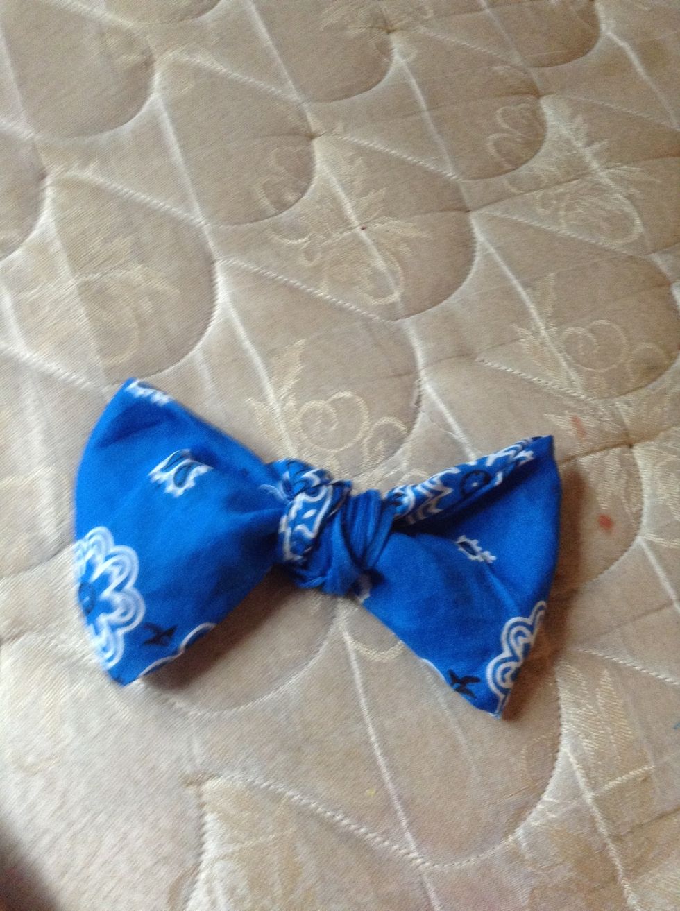 And your bow should look similar to this! I hope it worked for you! I've made 3, this one, a red one, and a purple one. They are shown in the first slide. I love them and they're so simple to make!