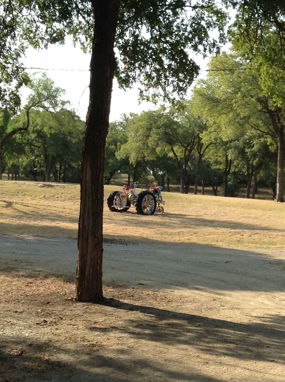 Animals that live in the grownd like rabbits gofers and grownd dogs