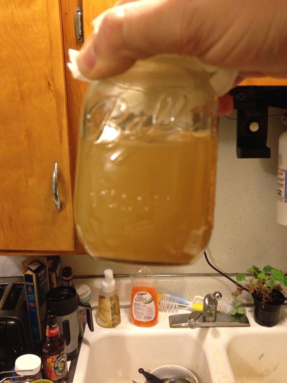 Another 12 hours and the yeast have started to settle out. Bread like smell subsiding alcohol like smell is now present.