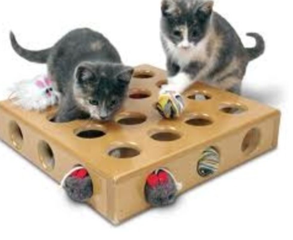 Another fun toy is this one. You can put stuff in it and the cat (cats) will try to get it out. This will amuse hem for hours on end.