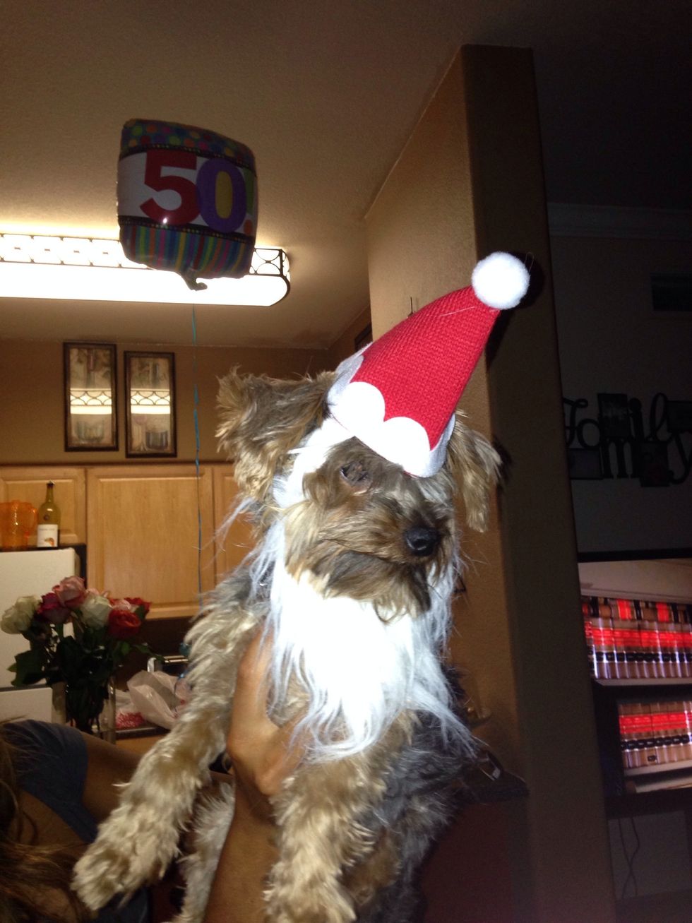 Another key to success is surround yourself with animals... they can never disappoint you.