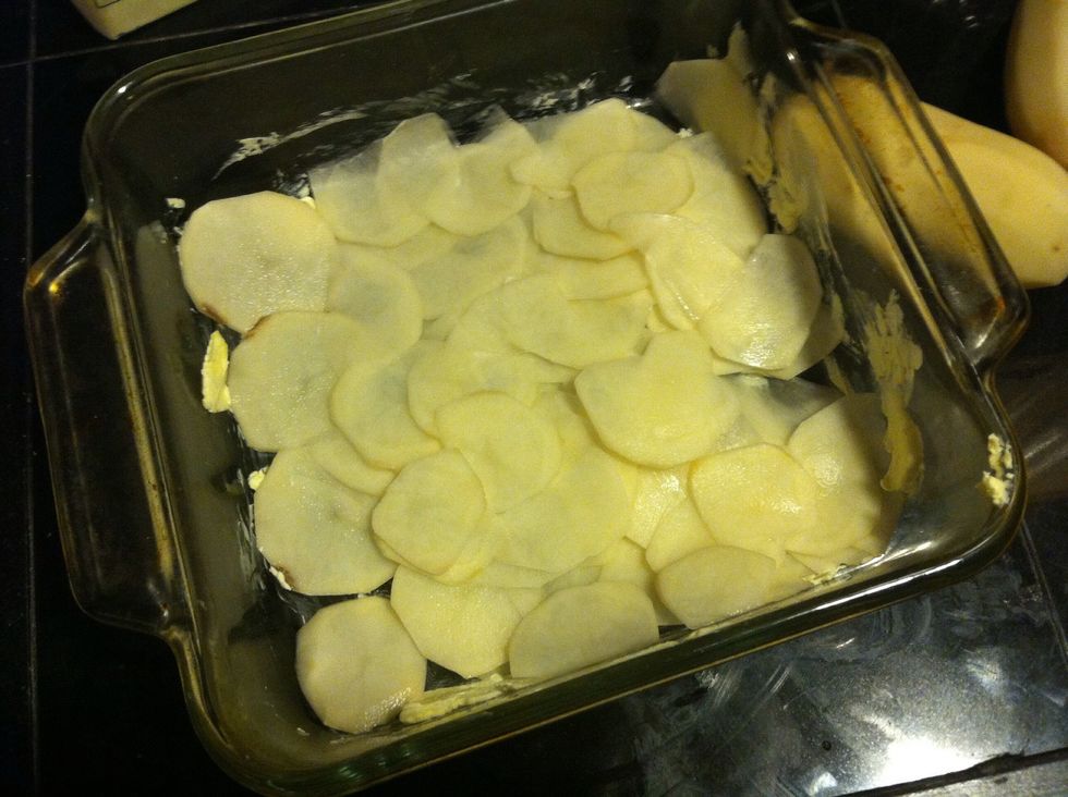 Another layer no cheese yet or you will en up with a gluey mess