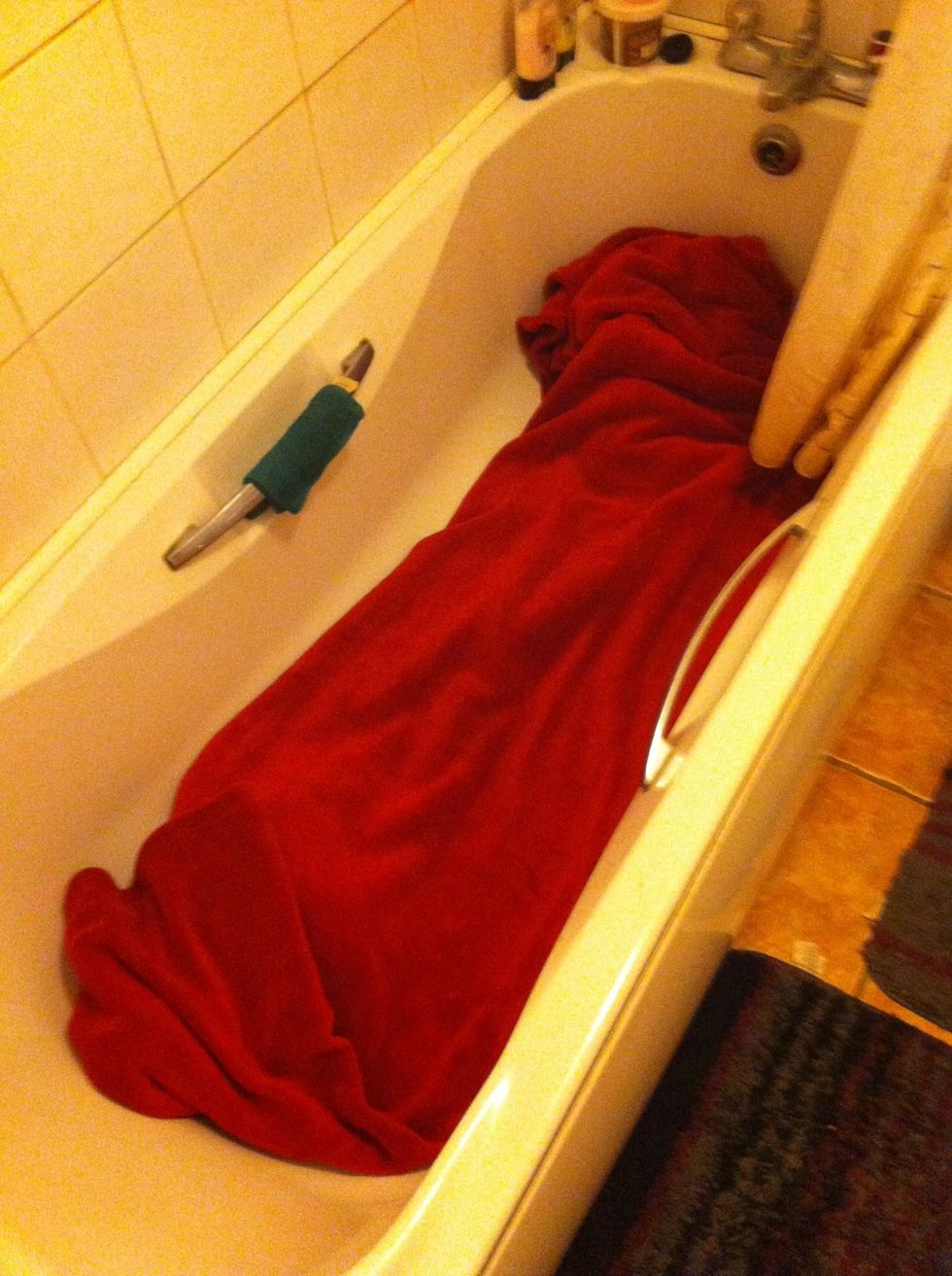 Another method is to put them on a blanket in a dry bath tub. You can sit in there with them and introduce your hands, without the fear of them jumping and getting lost. (NEVER BATHE HAMSTERS)