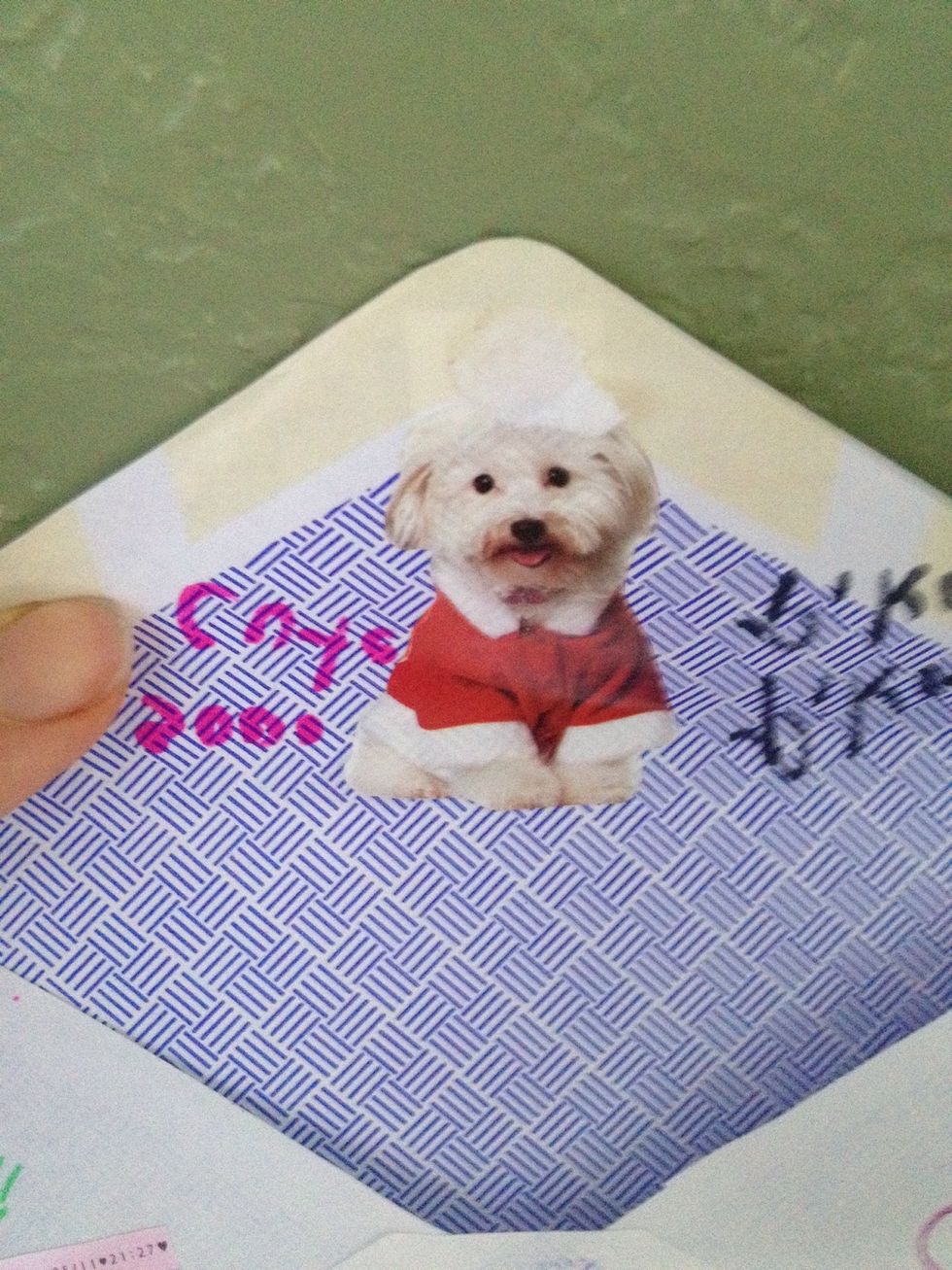 Another photo of envelope + sticker