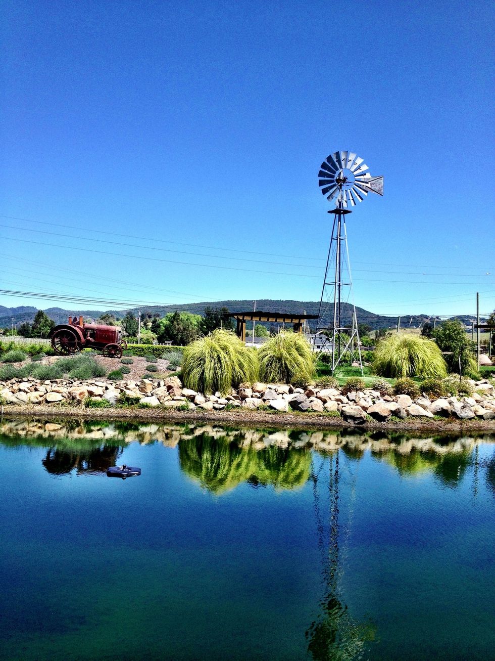 Another view of the entrance to Homewood winery.