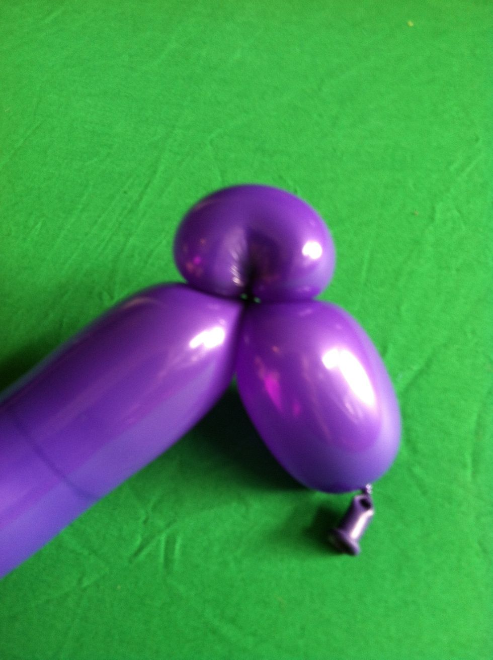 Another view.  Sometimes it's called a bean twist or an ear twist
