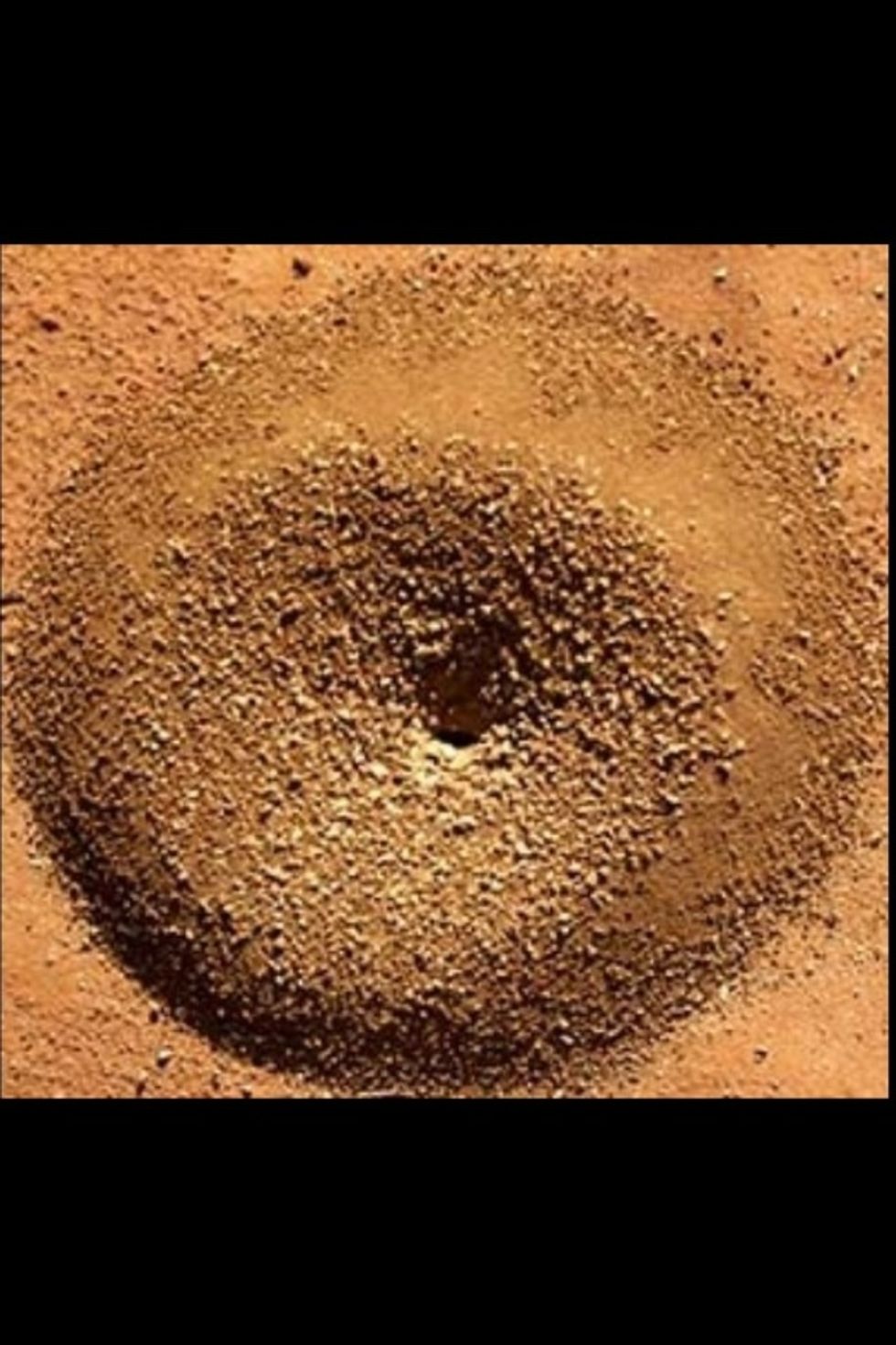 Ant hills in Ky are easy to spot when you know what you are looking for.